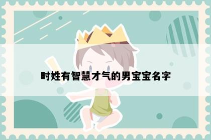 时姓有智慧才气的男宝宝名字