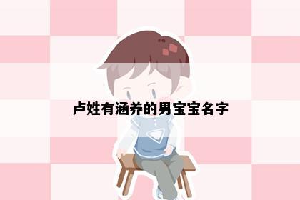 卢姓有涵养的男宝宝名字