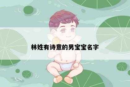 林姓有诗意的男宝宝名字