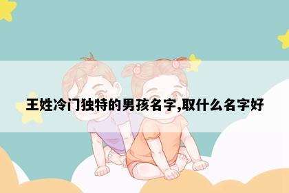 王姓冷门独特的男孩名字,取什么名字好