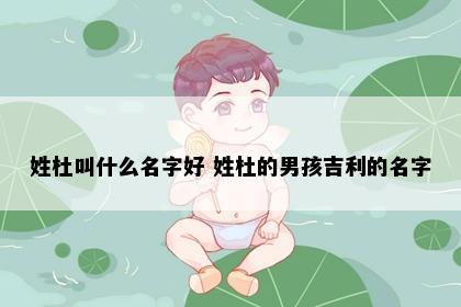 姓杜叫什么名字好 姓杜的男孩吉利的名字