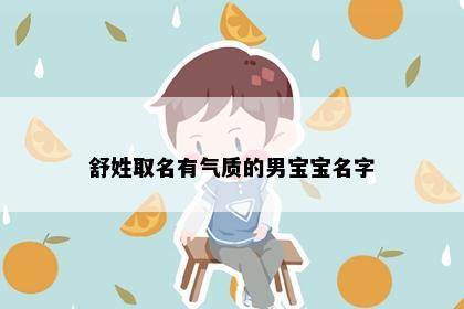 舒姓取名有气质的男宝宝名字